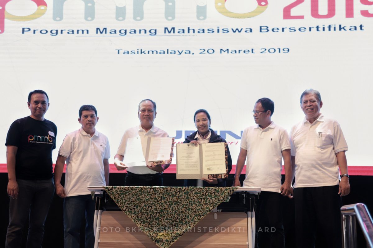 program magang