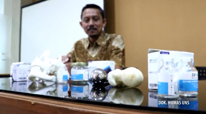 Bone Graft