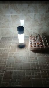 Lampu Pijar Listrik