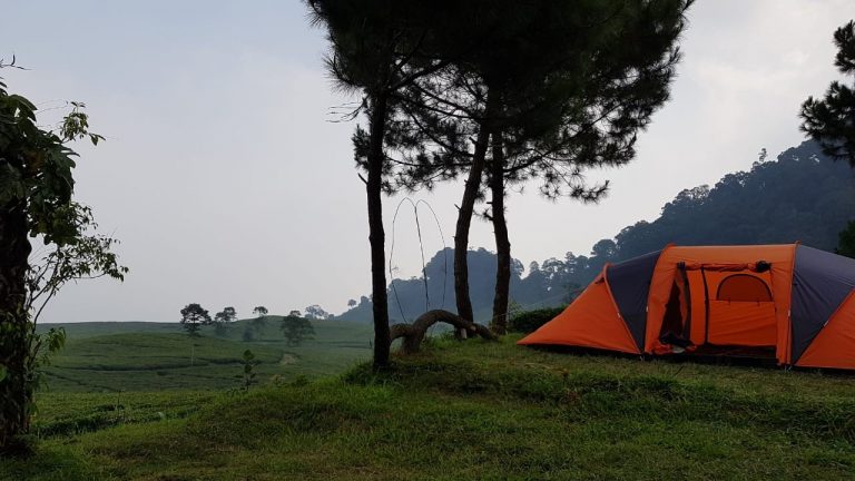 pendampingan masyarakat