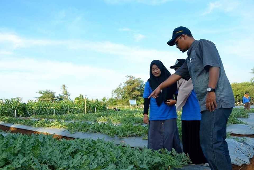dosen dan peneliti