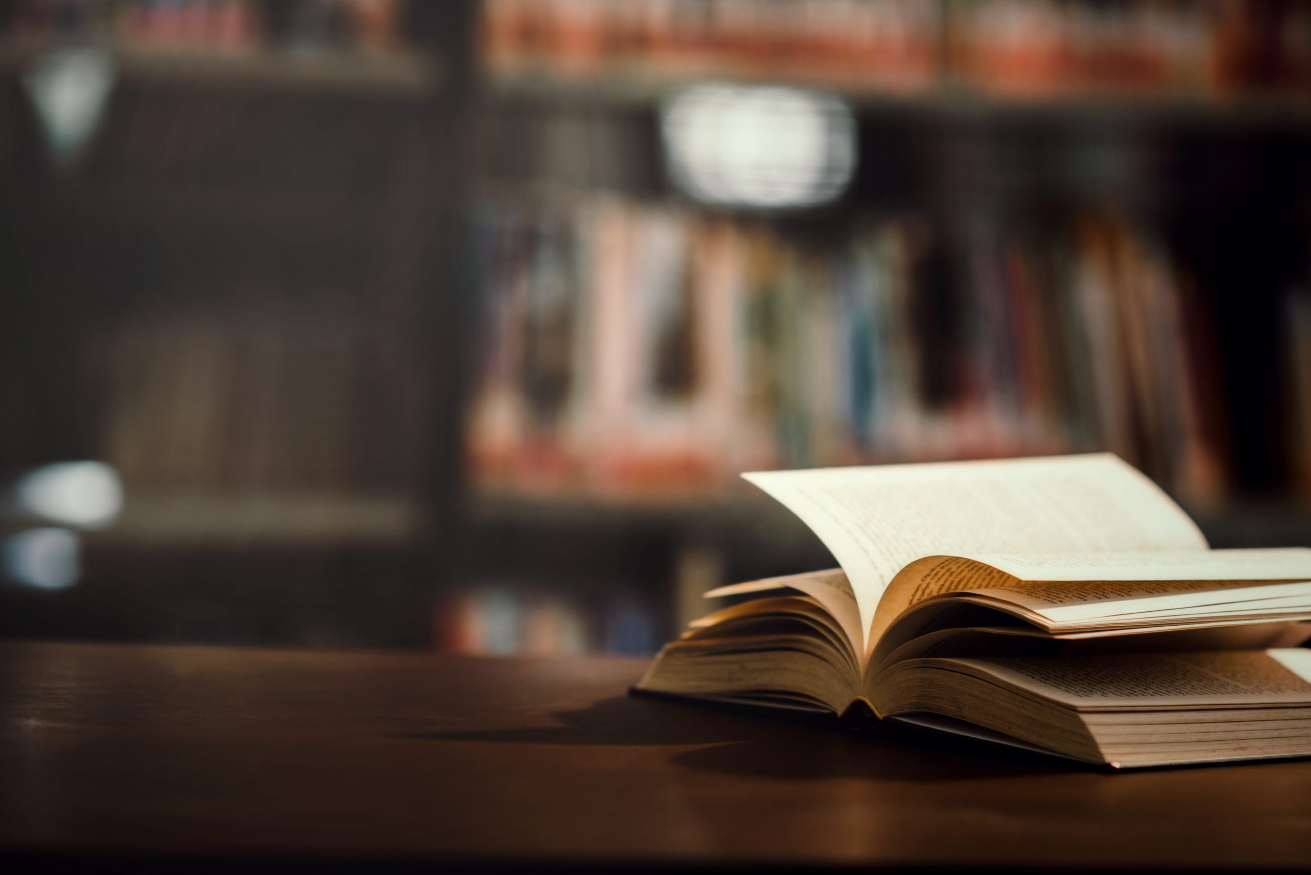 book chapter nasional