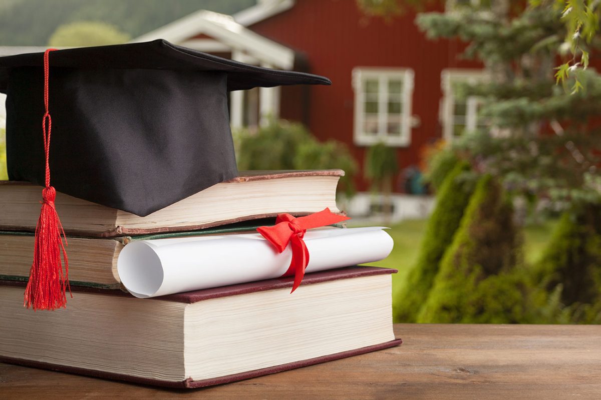 Pendidikan Tinggi dan Peran di Bidang Selama Pandemi -Dunia Dosen