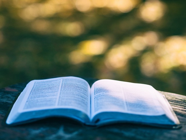 Contoh Pengabdian Kepada Masyarakat untuk Dosen, Buku Salah Satunya